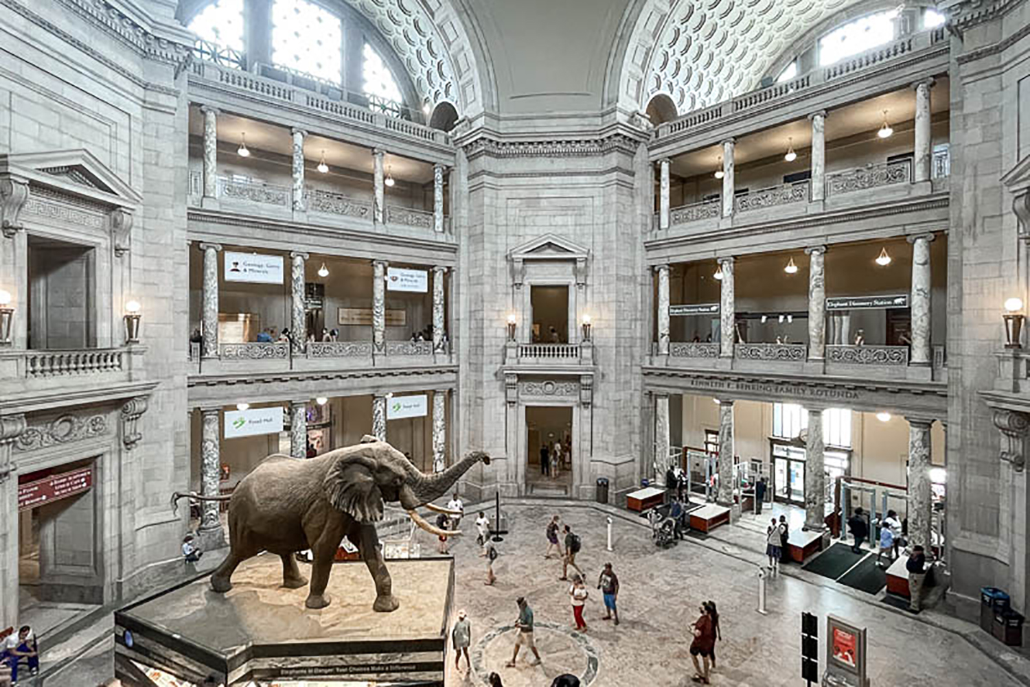IS MUSEUM OF NATURAL HISTORY OPEN TODAY visual data 3